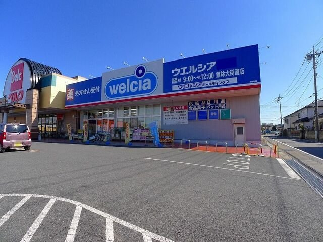 グランデルート　Ａの周辺|ウエルシア館林大街道店まで1200m