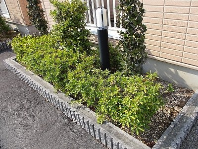 【その他】 | ウォーターフィールド　Ｄ