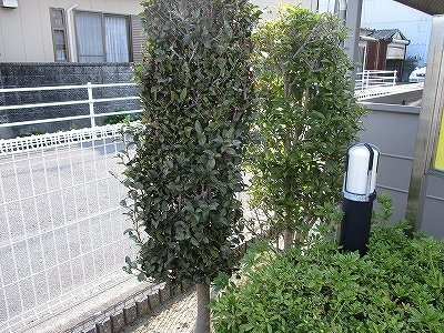 【その他】 | ウォーターフィールド　Ｄ
