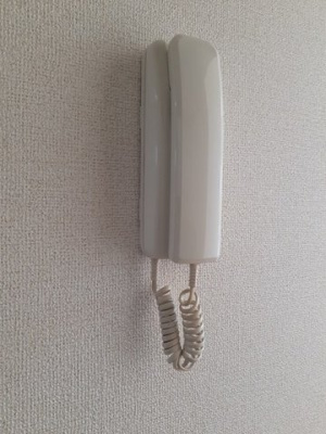 【セキュリティ】 | リュエルⅠ