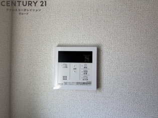 ミモザのその他