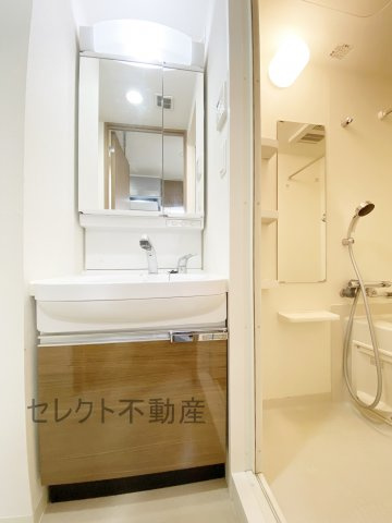 プレサンス丸の内雅殿の洗面所