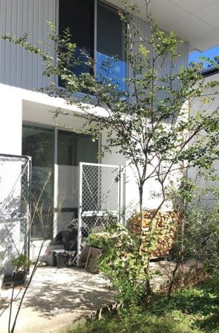 大船戸建の外観