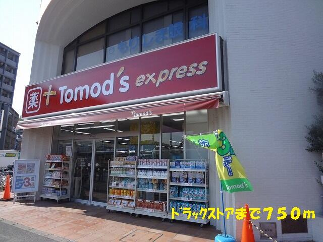 ラフレシールⅡの周辺|ドラックストアまで750m