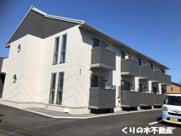 Nefueltの画像