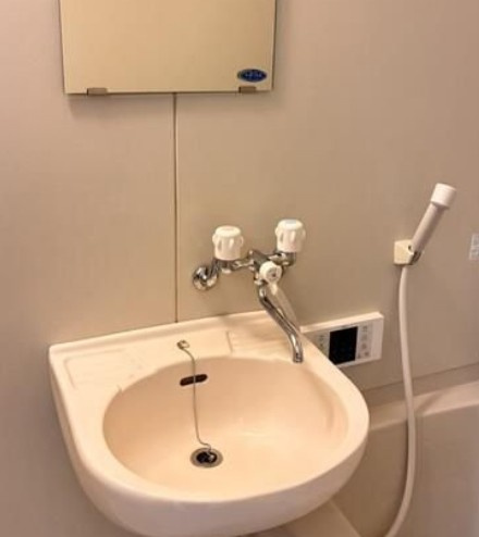 コスモハイムの洗面所