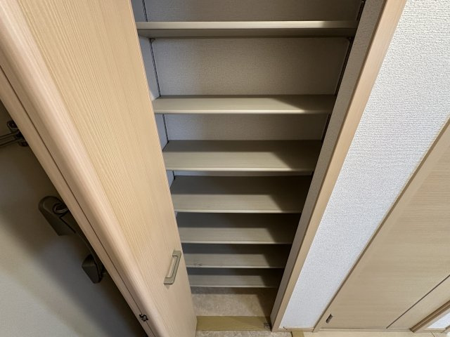 カンパニュラの収納