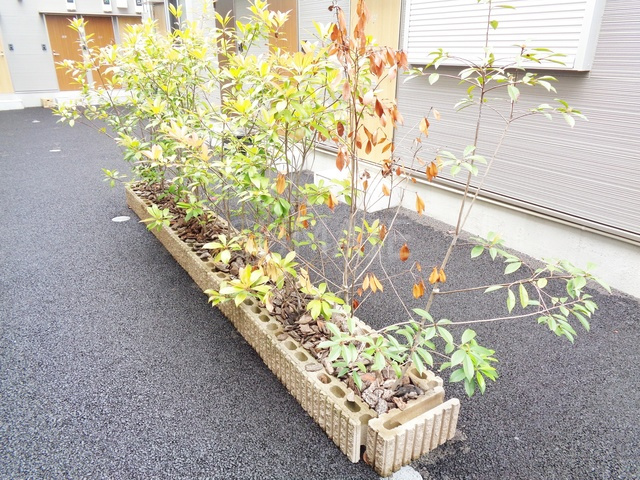 リブ・グランデのその他|植栽です
