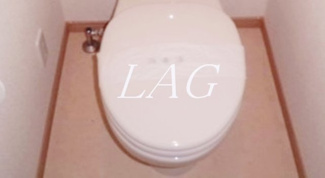 【トイレ】 | ラパス橋本 | トイレです。