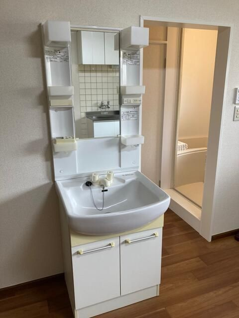 コーポ司の独立洗面台