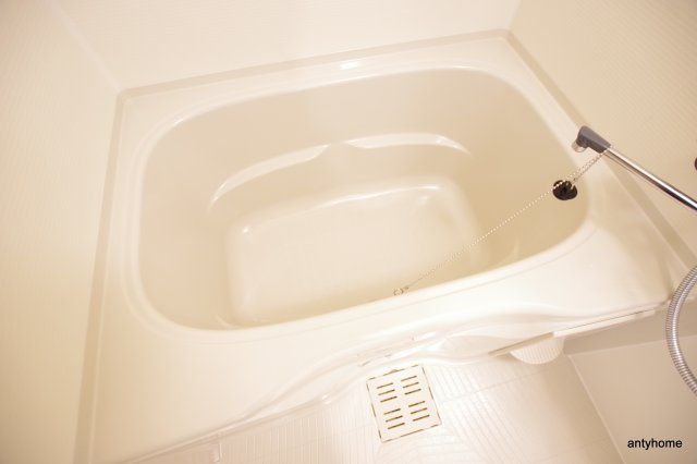 アドバンス大阪城グロリア　仲介手数料無料の浴室