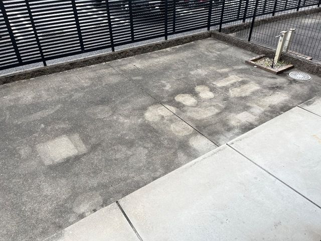 ワイズ・コンドミニアムの庭