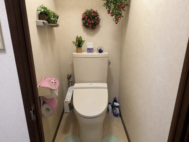 セザール国立の画像