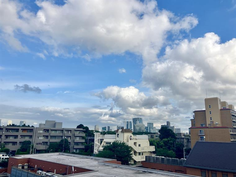 代々木山手パークハウスの展望