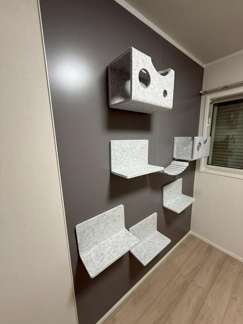 Ｃａｌｍ　ＮＥＳＴのその他