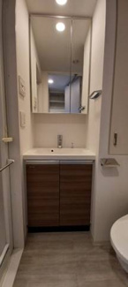 【洗面所】 | アーバネックス戸越 | 別部屋参考写真