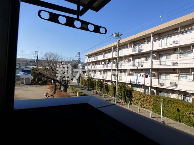 柊の展望