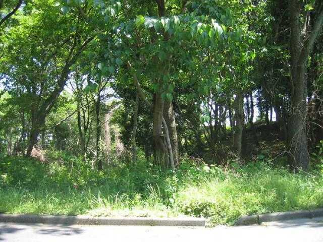伊東市八幡野　約998坪の広大で平坦な土地の外観