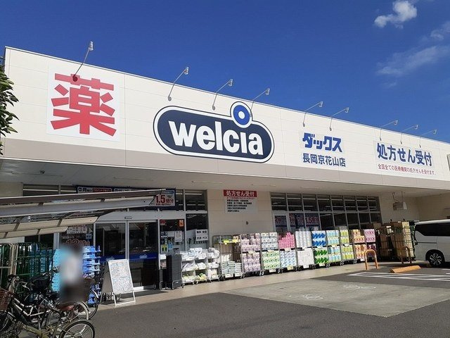 カーサ・グランデの周辺|ダックス 長岡京花山店まで1000m