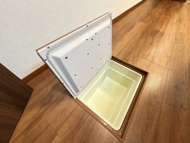 アヴェンタドールのその他