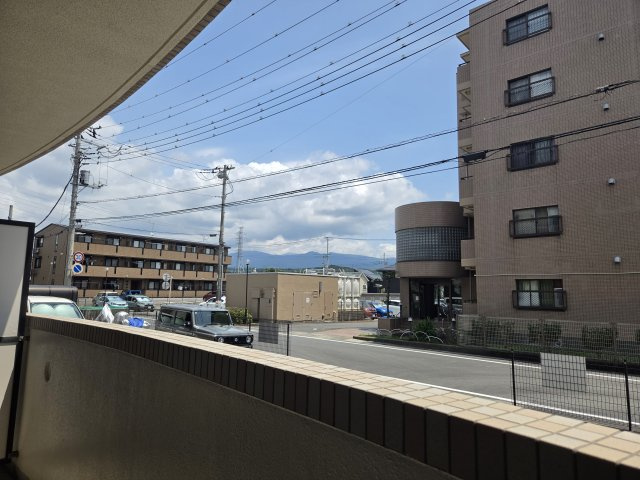 ヴィブレアトリオの展望
