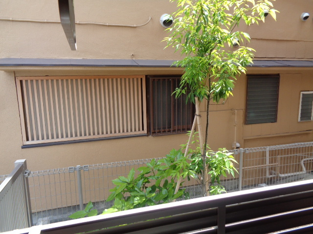 木の花マンションの展望