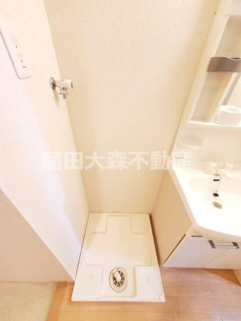 ドミール蓮沼の洗面所