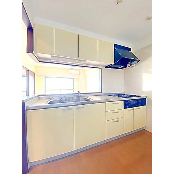 Hill Palace IKAIのキッチン