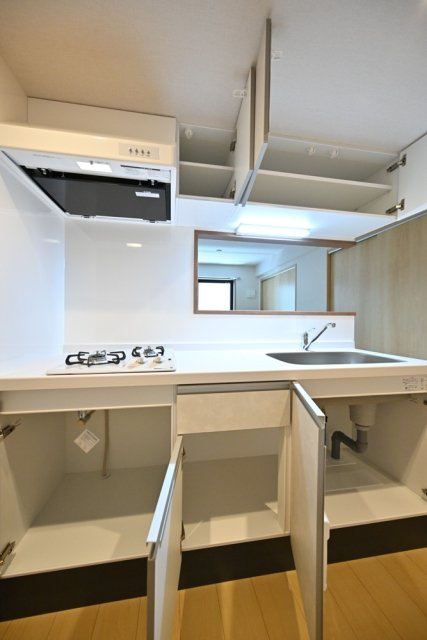 ＣＥＮＴＲＡＬ　ＧＡＲＤＥＮ　ＲＥＳＩＤＥＮＣＥ　ＴＯＫＹＯのキッチン|キッチンです