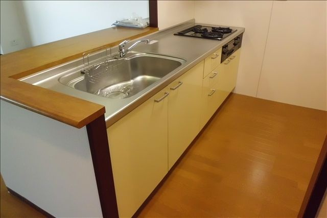 Hill Palace IKAIのキッチン