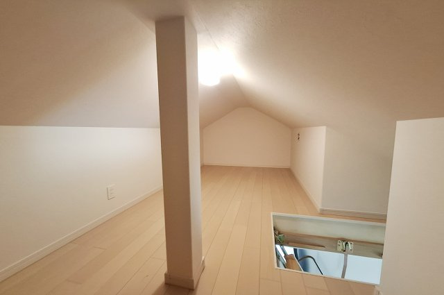 泉北郡忠岡町忠岡南3丁目の収納|屋根裏収納