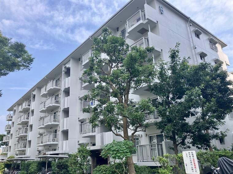藤沢市辻堂新町１丁目の賃貸マンションの外観
