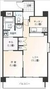Stage　IKAIの間取り
