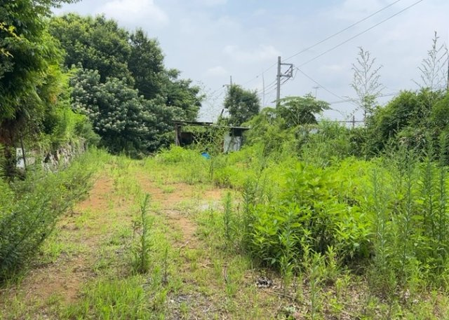 【前面道路含む現地写真】 | ハザードマップは自然災害による被害を予測し、その被害範囲を地図上で表したものです。近年特に災害が多くなっていますので、事前に調査すると安心できます。ハザードマップは国交省のホームページをご覧ください。