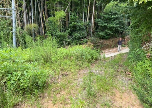 【外観】 | 家を建てる前提で土地を探している場合、地盤の丈夫さは譲れない条件の一つです。地盤が脆弱だと追加工事が必要となります。また、過去に地盤沈下や液状化現象を起こした土地は、できるだけ避けた方がいいでしょう。