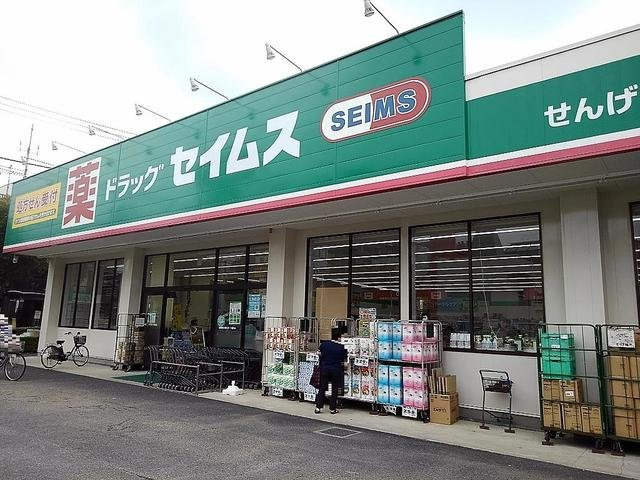 コンティネントの周辺|ドラッグセイムスせんげん台店まで650m