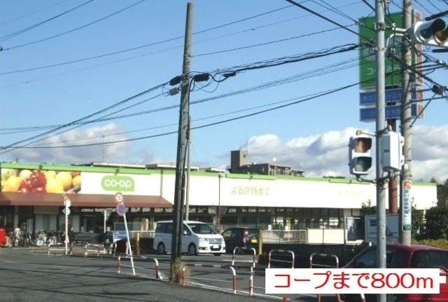 エクセレント　グローブⅡのその他|コープ