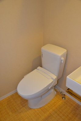 【トイレ】 | アクアプレイス北浜 | 落ち着いた色調のトイレです