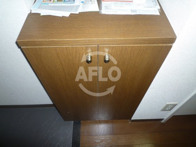 プレサンス西心斎橋の収納|プレサンス西心斎橋　シューズボックス