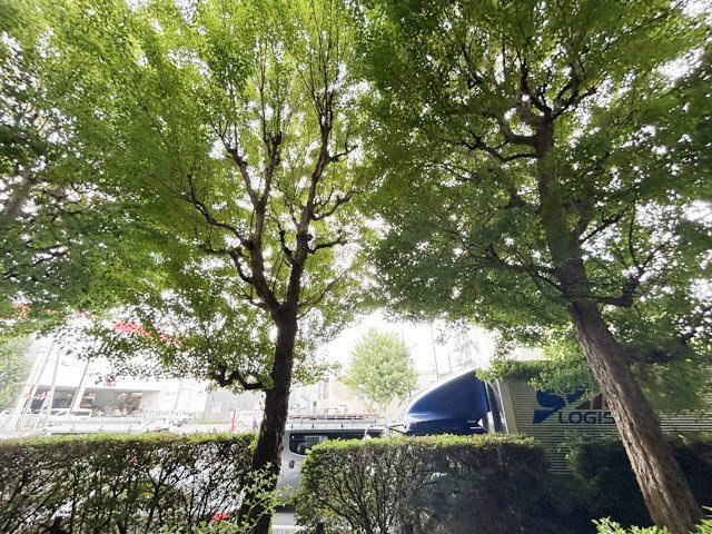 【展望】 | メゾンドール野方 | 眼前に広がる空の雄大さと、このお部屋の自慢の一つである「眺望」をご覧ください。毎日、この景色を独り占めできる新生活に夢が広がります。～即日のご見学可能～　お問合せはお気軽にどうぞ。
