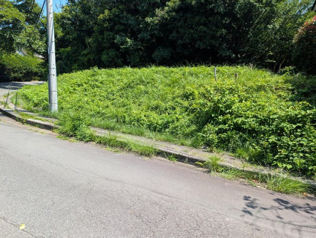 函南町　南箱根ダイヤランド