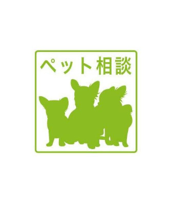 【玄関】仮)根岸町新築アパート