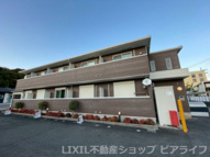 ｍｏｍｏの樹の画像