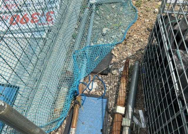 【設備】 | 敷地内には、散水栓や立水栓があります。水道水を直接利用できるため、水を運ぶ手間を省くことが出来ます。大量の水を必要とする洗車作業や清掃などに役立ちます。その他設備とあわせて、現地でご確認ください。