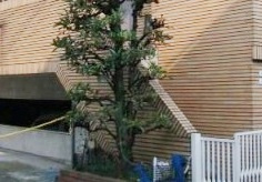 氷川ハウスのその他共用部分