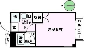 ニューフィールド