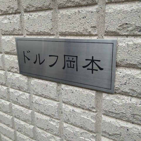 ドルフ岡本 のその他