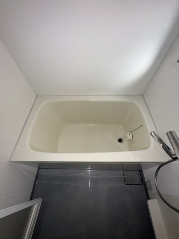 大阪市中央区松屋町住吉の賃貸マンションの浴室