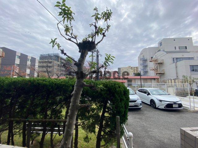 【展望】 | 旭エルフ