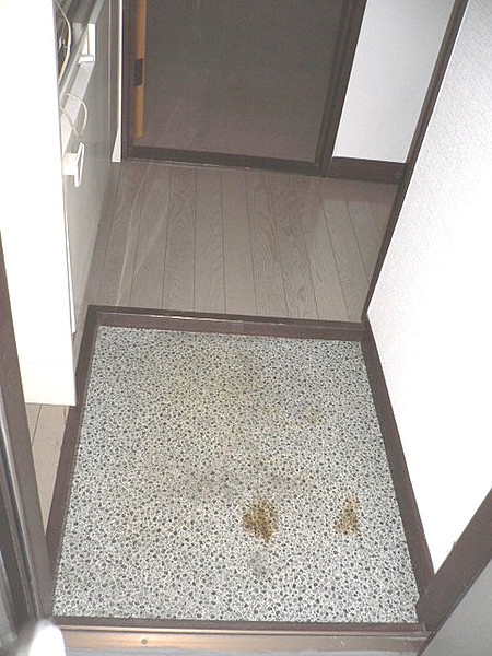 神戸市東灘区甲南町３丁目のアパートの玄関